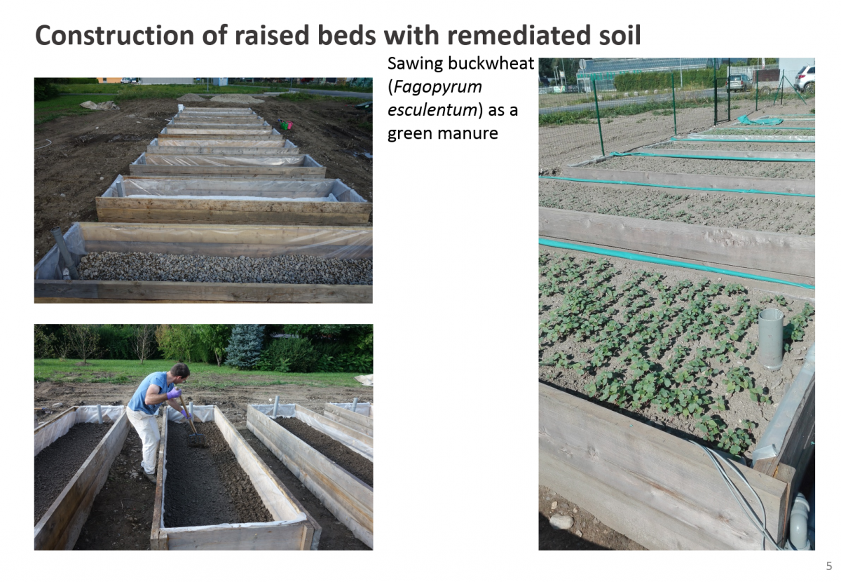 Remediation case 1_5   